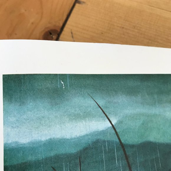 Mallard Duck Family Art Print Stan Galli for Weyerhaeuser Vintage Lake Scene - Picture 3 of 5